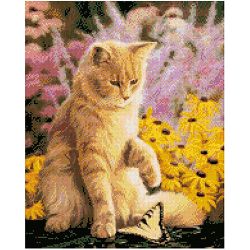 Опт-картина / Mosaico diamante, 40x50, strass quadrati Gatto e farfalla