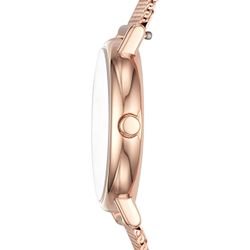 Skagen / Signatur SKW2694 手表