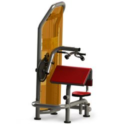 BICEPS-TRICEPS MACHINE TURBOGYM