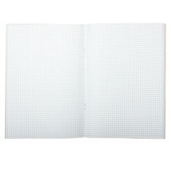 Book accounting 72 sheets, A4, 200x290 mm, STAFF, cage, cover of chalked cardboard, block offset offset