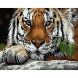 Опт-картина / Tranh theo số 40x50 Mắt hổ