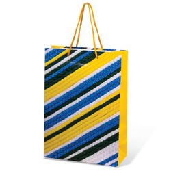 GRANDGIFT / Laminated gift bag, 22x31x9 cm, geometry, assorted