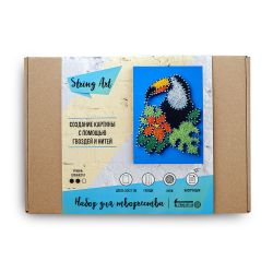 String art lab / String art "Toucan"
