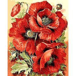 Опт-картина / Tranh theo số 40x50 Poppies