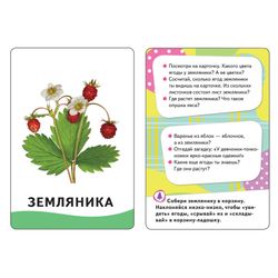 Card developing "In the woods", Kochetova N. And. Rosman