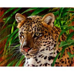 Опт-картина / Pintura por números 40x50 Leopardo en la hierba