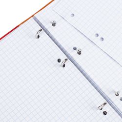 BRAUBERG / Notebook on rings A5 (175x215 mm), 120 sh., Cardboard cover, cage, glossy lamination, "Monocolor" / 2 pcs.