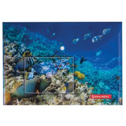 Thư mục phong bì có nút BRAUBERG "SEA WORLD", khổ A4, 160 micron, tối đa 100 tờ, in màu