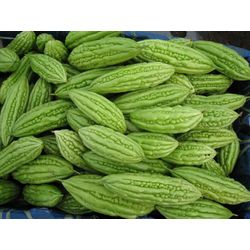 Dry bitter melon fruit