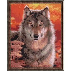 Опт-картина / Diamantmosaik 40x50, runde Strasssteine Wolf bei Sonnenuntergang