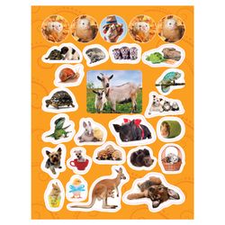 Rosman / Album di figurine "100 figurine. Animali divertenti"