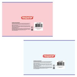 ПИФАГОР / Album for drawing "Flowers" (2 types), 200x285 mm, 12 sheets A4, staple, offset cover