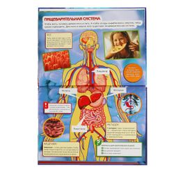 Умка / Umka / Encyclopedia "Human body"