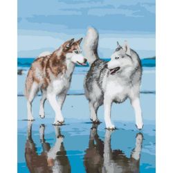 Опт-картина / Pintura por números 40x50 Husky