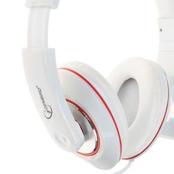 GEMBIRD / Headphones with microphone (headset) MHS-780, wired, 1.8 m, oversized with headband