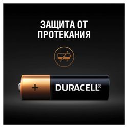 DURACELL / Batteries Basic, AA (LR06, 15A) alkaline finger, SET 2 pcs. in blister