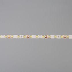 Ecola / Bande LED, 12V