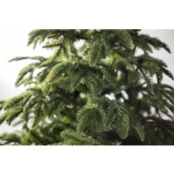 Fir-tree artificial "Ontario" Premium
