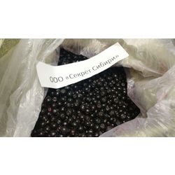 Aronia (Aronia) frozen