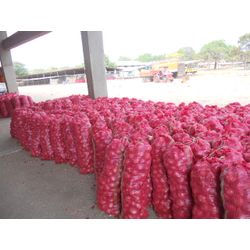 Fresh red onion