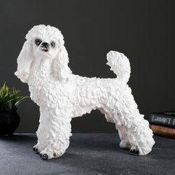 Хорошие сувениры / Piggy bank "Poodle"