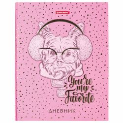 BRAUBERG / Diary 5-11 grade 48 l., Hard, foil, with a hint, "Fashionable Dog" / 10 pcs.