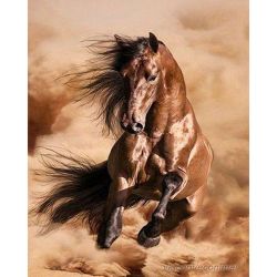 Опт-картина / Sơn theo số CAKADU 40x50 Horse