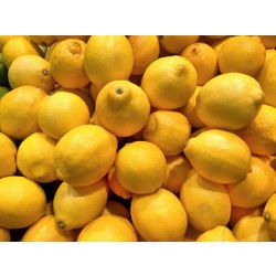 Lemon fresh greenhouse