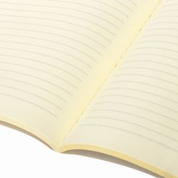 BRAUBERG / Notebook 60 l. in-line leatherette cover SoftTouch, stitching, B5 (179x250mm), BLUE, RAINBOW / 2 pcs.