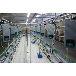 Milking halls "Herringbone"