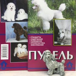 Figurine porcelain "Poodle grey" with booklet