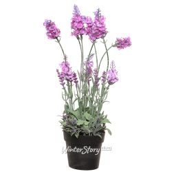 Kaemingk / Artificial flower Loddon Pink Lavender in a pot 38 cm