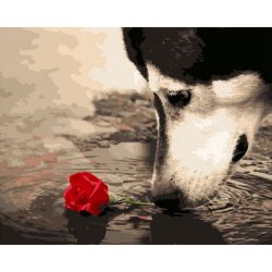Опт-картина / Pittura con numeri 40x50 Cane e rosa
