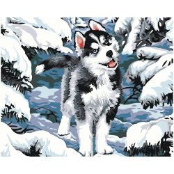 Опт-картина / Sơn theo số CAKADU 40x50 Trẻ husky