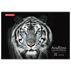 BRAUBERG  / Skizzenbuch ECO "Tiger", 202x285 mm, 32 Blatt A4, Heftklammer, Kartoneinband