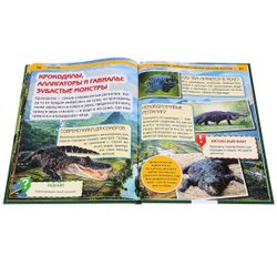 Умка / Umka / Encyclopedia "Reptiles"