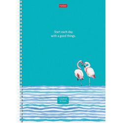 HATBER / Notebook A4, 80 sheets, comb, line, cardboard cover, "Assorted" / 8 pcs.
