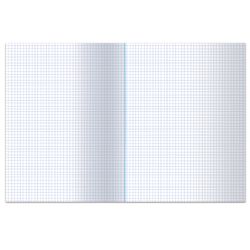Book accounting 96 sheets, A4, 200x290 mm, STAFF, cage, cover of chalked cardboard, block offset offset
