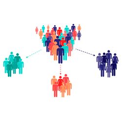 Market segmentation