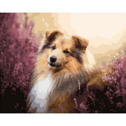 Опт-картина / Pintura por números 40x50 Collie