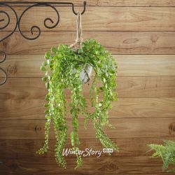 Kaemingk / Artificial succulent plant in a flower pot Pelley 15 cm