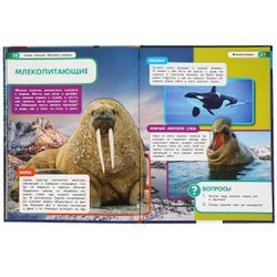 Умка / Umka / Encyclopedia "The largest inhabitants of the oceans"