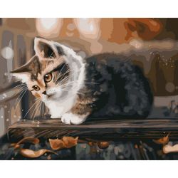 Опт-картина / Dipingere con i numeri 40x50 Gattino su una panchina