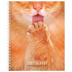 HATBER / Notebook А5, 48 sh., Comb, cage, cardboard cover, "Wake up the Beast in yourself!" / 10 pieces.