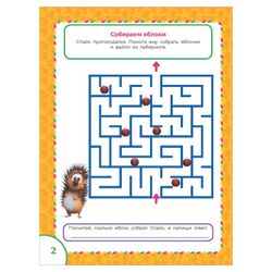 AST / Booba. Big book of labyrinths and tasks