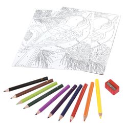 Coloring by numbers A4, ONLANDIA "BIRD", WITH CRAYONS, on cardboard