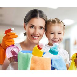 Franchise - Household chemicals