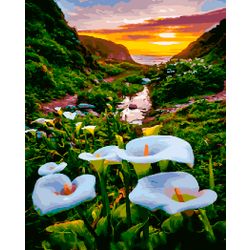 ВанГогВоМне / VanGogVoMne / Paint by number "Valley of wild calla lilies" 40x50 cm
