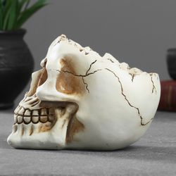 Хорошие сувениры / Stand for small things "Skull" 14x10x11 cm