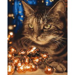 Опт-картина / Pittura con numeri 40x50 Gatto e ghirlanda